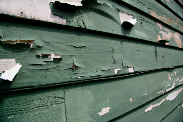 Best Recycling Services for Junk  in Ironde, AL