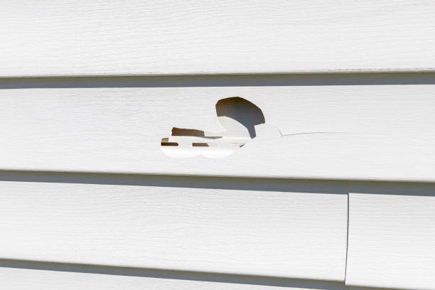 Shed Removal in Irondale, AL
